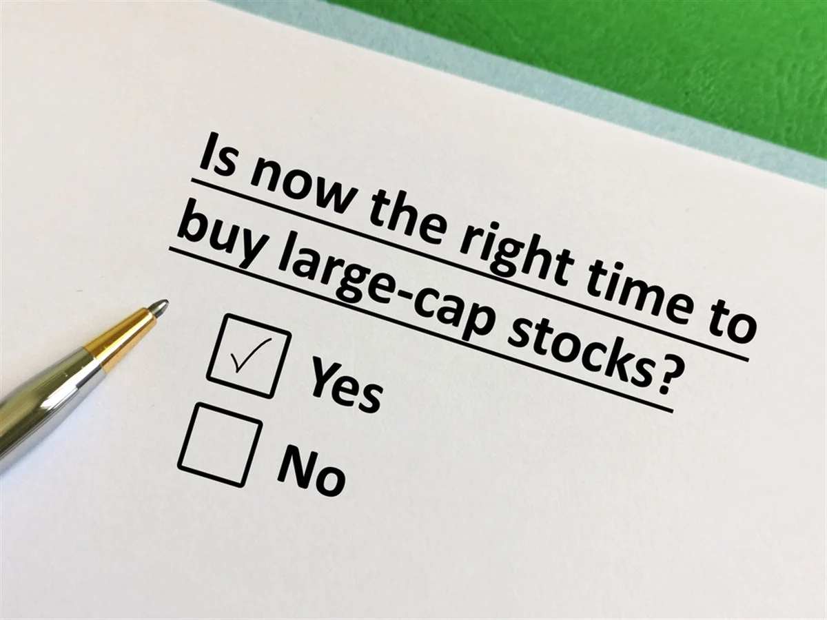 Investors Favour Large Caps as Bets Against Small Stocks Mount